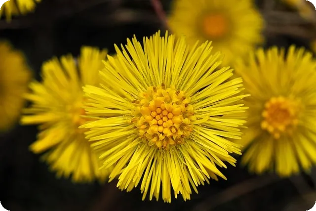 대환대출 이란 무엇일까 저금리로 갈아타는 방법은