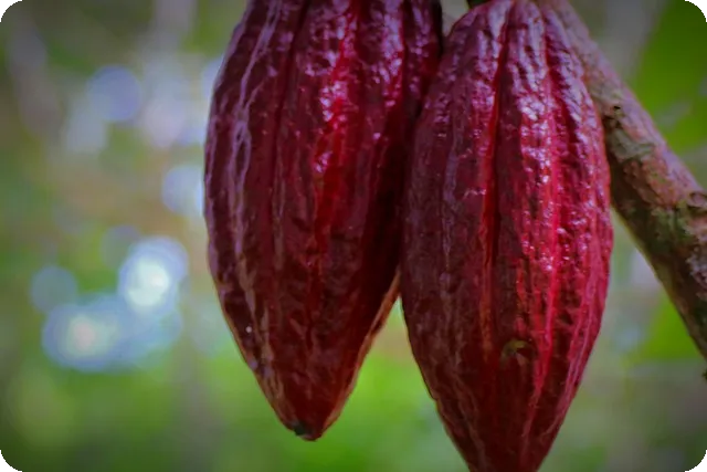 비대면 대출 연장 방법, 궁금하신가요