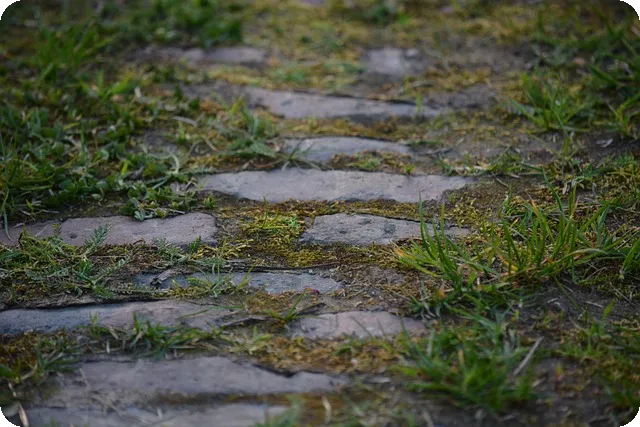 임대아파트보증금담보대출 핵심 가이드로 돈 마련하기