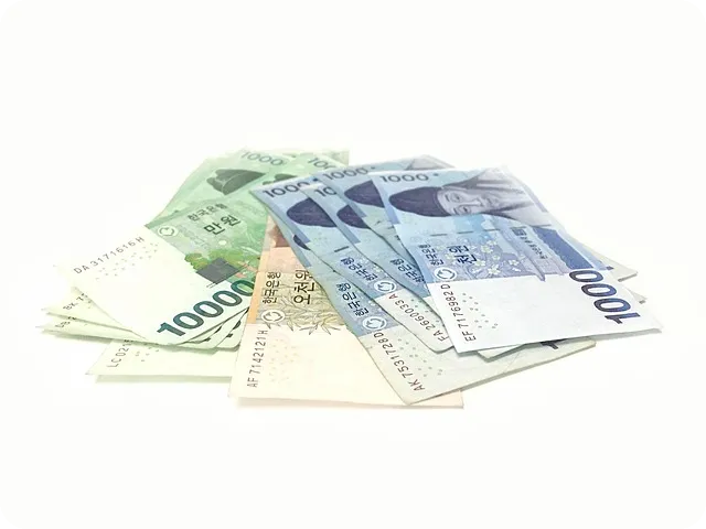 전세자금대출 한도 부족 해결 방법 총정리