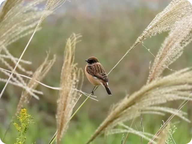 2024전기기사 시험일정과 효과적 공부법 상세분석