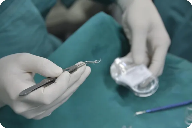 내실비보험확인으로 환급받는 방법과 주의점은?