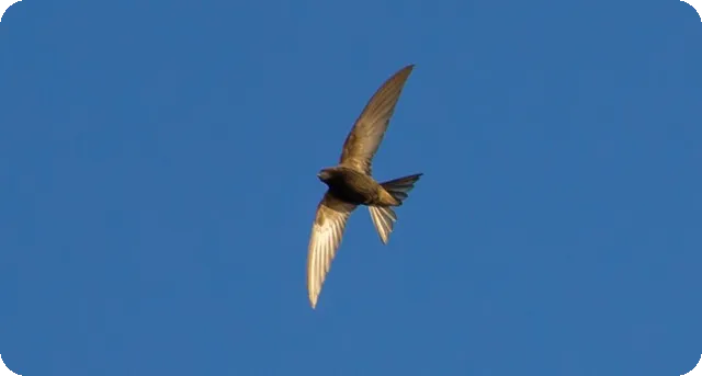 소상공인창업 대출 자격과 신청 방법 안내