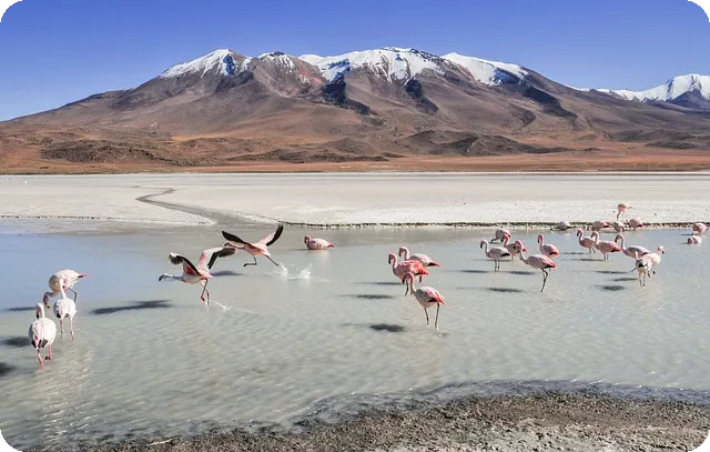 옐로우캐피탈대부 대출조건 비교와 후기 분석
