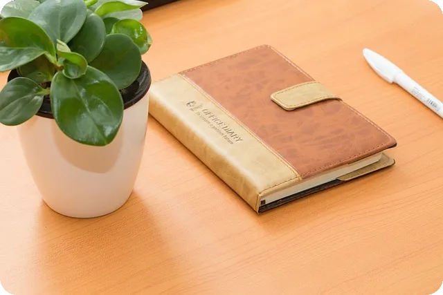 저신용자비상금대출 금리 한도 필수 정보 공개