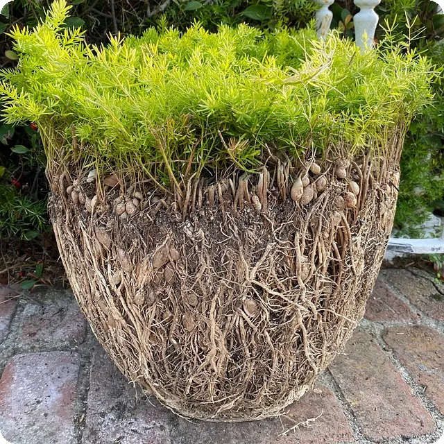 청년버팀목전세대출은행으로 안전한 주거 마련하기