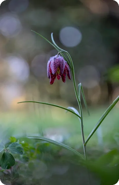 개인사업자지원금 최대 활용 전략과 불법컨설팅 차단 비법
