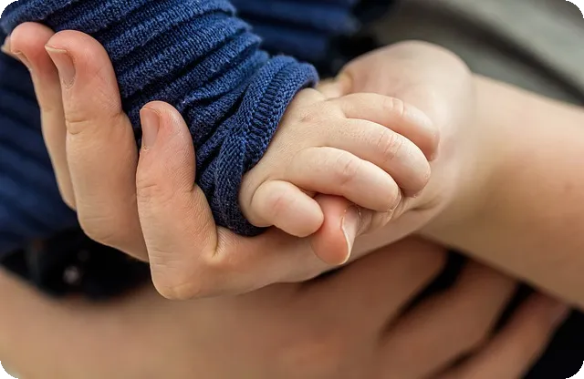 보험설계사이트 추천과 검증 방법 알아보기