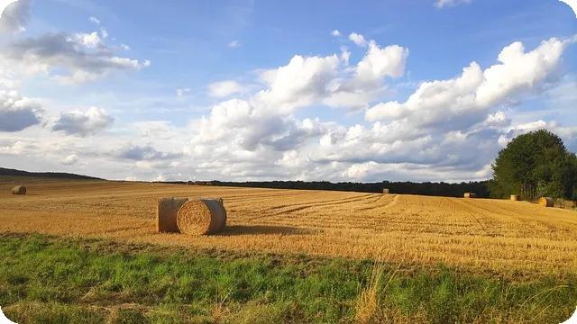 신용등급700점에서 900점까지 올리는 핵심 전략