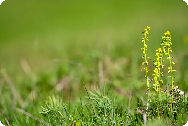 저금리정부지원대출 최신 정보 2025년 총정리