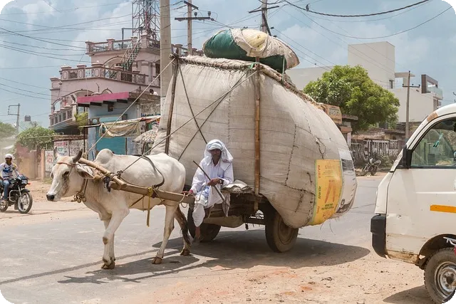 전세권설정대출로 안전하게 부동산 확보하는 비법