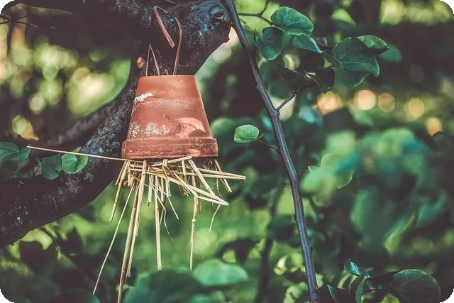 정부지원대환대출로 2년 내 빚 탈출하는 방법