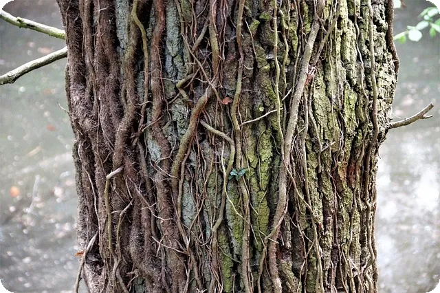 정부지원대환대출로 2년 내 빚 탈출하는 방법