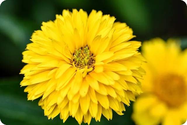 중고차티볼리 최상의 선택 방법과 실매물 차량 추천