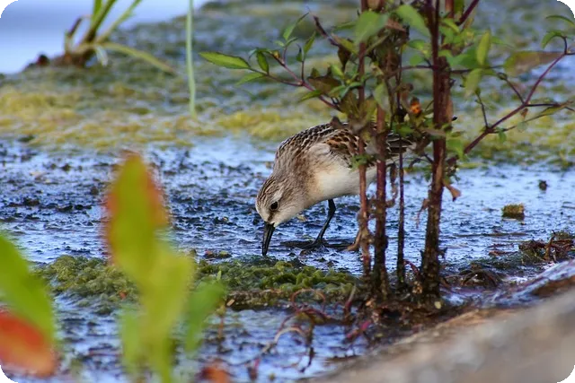 쿠팡선정산 활용 전략으로 자금 흐름 안정화 방법