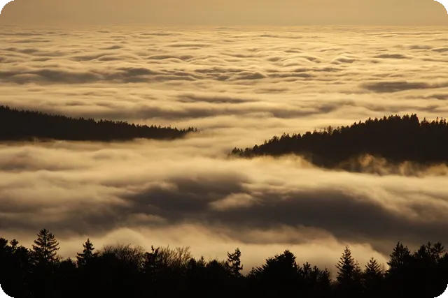 상상인저축은행오토론 신청방법과 자격조건 분석