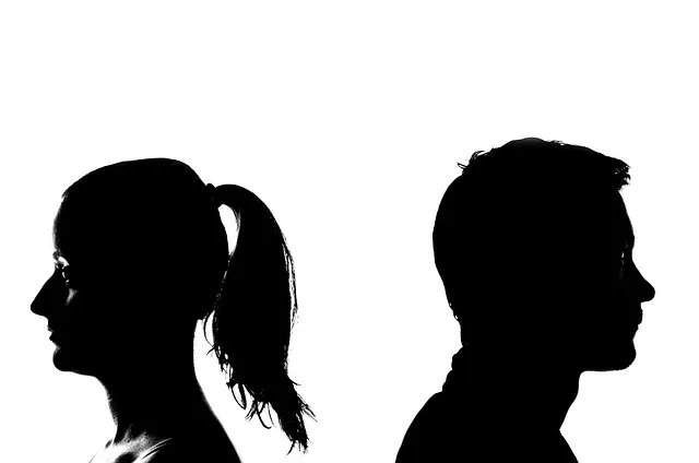 금양주가 폭락 이후 투자 전략과 전망 알아보기